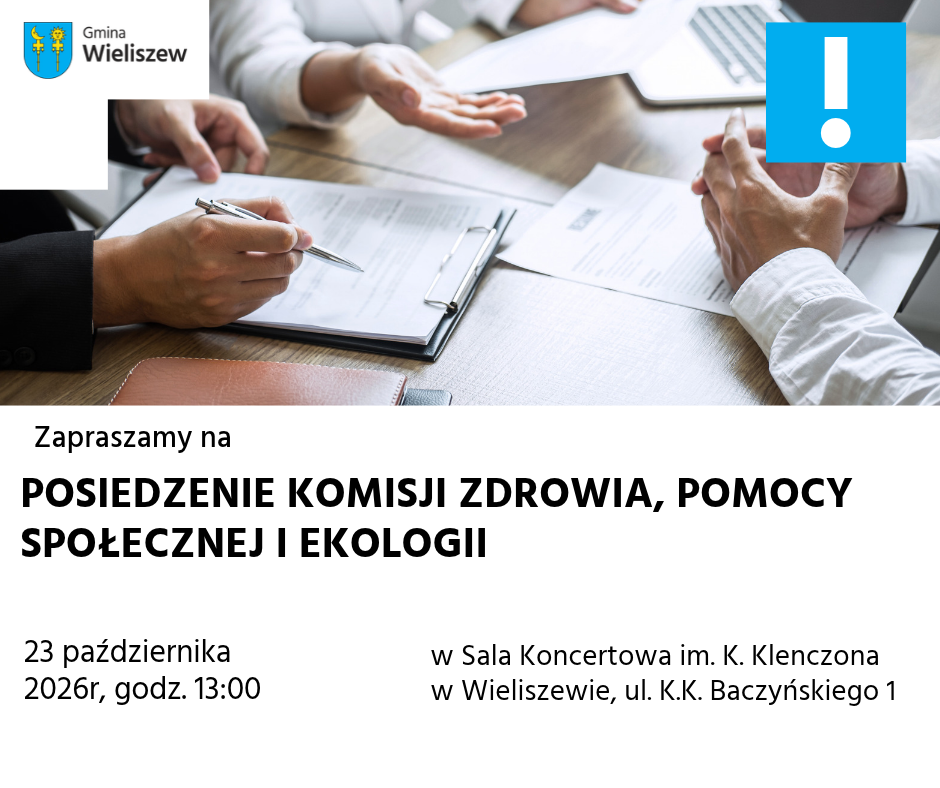 Konsultacje