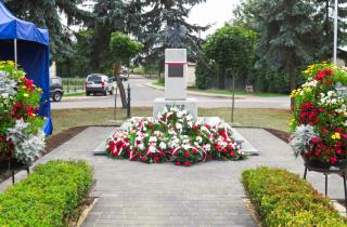 Obchody 99 rocznicy Bitwy Warszawskiej 43