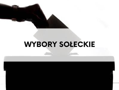 baner