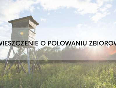 baner