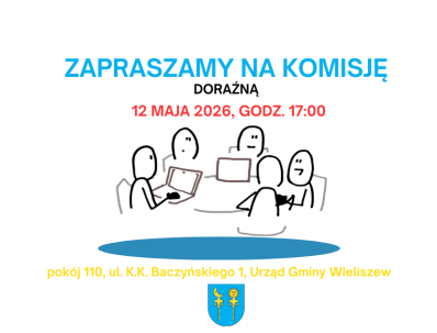 Komisja Doraźna