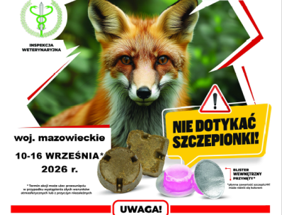 Szczepienie lisów przeciwko wściekliźnie na Mazowszu