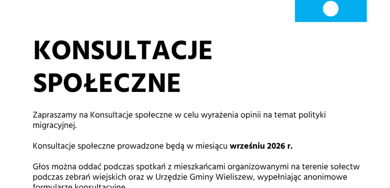Konsultacje